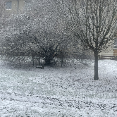 Winter 2023