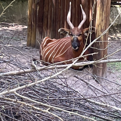 Zoo Besuch